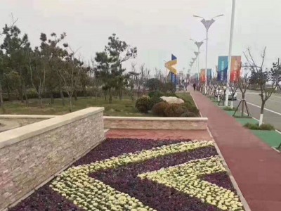 工程案例