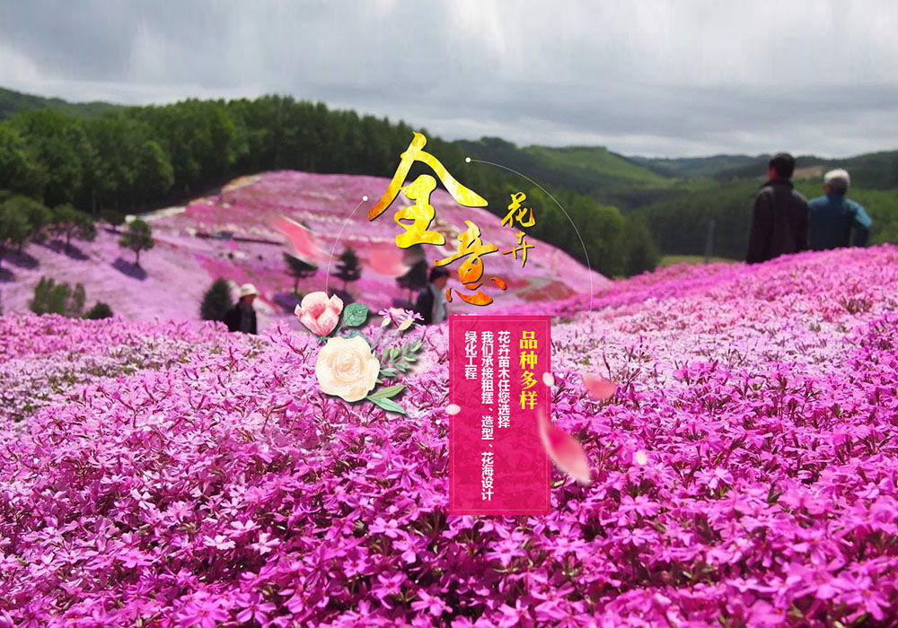 花卉22 Blush Expressions™ Bouquet | 1800Flowers.com